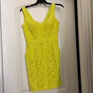 Lime green lace dress with ruffle detail on back and pockets.